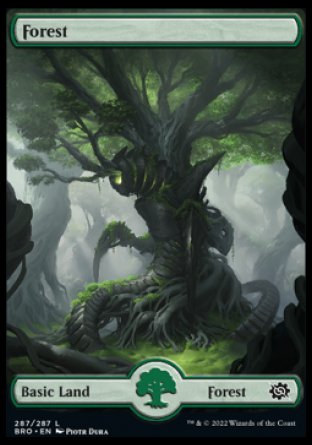 (287) Magic The Gathering The Brothers' War Single: Forest (V.2) Holo Land