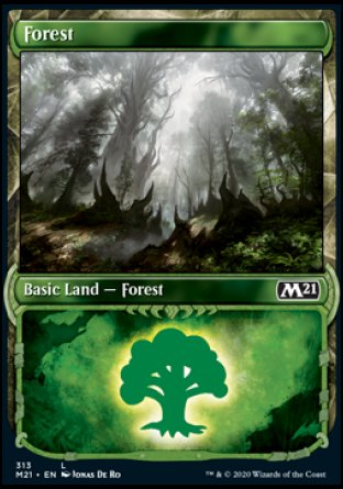 (313) Magic The Gathering Core 2021: Extras Single: Forest Holo Land