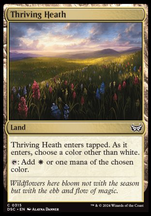 (315) Magic The Gathering Commander: Duskmourn: House of Horror Single: Thriving Heath Common