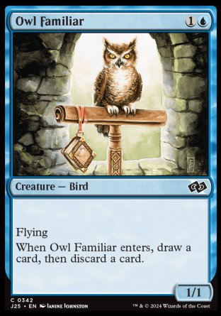 (342) Magic The Gathering Foundations Jumpstart Single: Owl Familiar Common