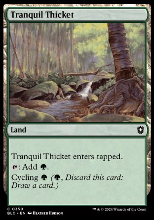 (350) Magic The Gathering Commander: Bloomburrow Single: Tranquil Thicket Common