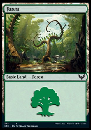 (374) Magic The Gathering Strixhaven: School of Mages: Extras Single: Forest (V.1) Land