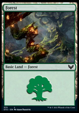 (375) Magic The Gathering Strixhaven: School of Mages: Extras Single: Forest (V.2) Land