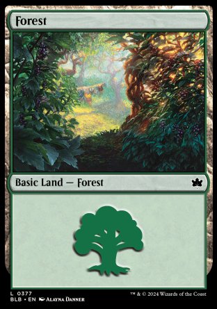 (377) Magic The Gathering Bloomburrow: Extras Single: Forest (V.1) Land