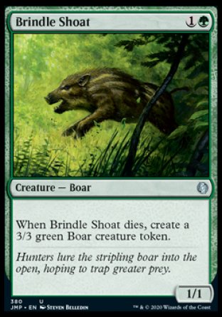 (380) Magic The Gathering Jumpstart Single: Brindle Shoat Holo Uncommon