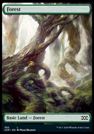 (382) Magic The Gathering Double Masters: Extras Single: Forest (V.2) Land