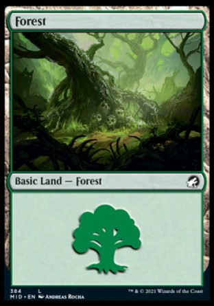 (384) Magic The Gathering Innistrad: Midnight Hunt: Extras Single: Forest Land