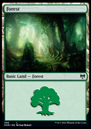 (398) Magic The Gathering Kaldheim: Extras Single: Forest Holo Land