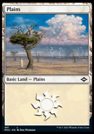(481) Magic The Gathering Modern Horizons 2: Extras Single: Plains (V.2) Holo Land
