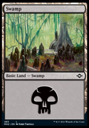 (485) Magic The Gathering Modern Horizons 2: Extras Single: Swamp (V.2) Holo Land