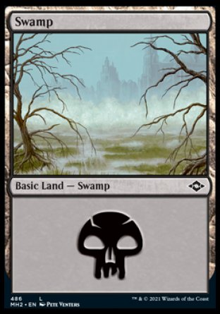 (486) Magic The Gathering Modern Horizons 2: Extras Single: Swamp (V.3) Holo Land