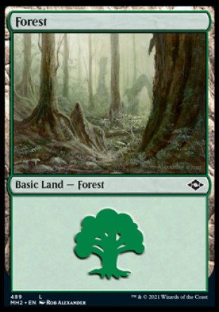 (489) Magic The Gathering Modern Horizons 2: Extras Single: Forest (V.2) Holo Land