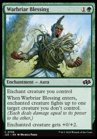 (739) Magic The Gathering Foundations Jumpstart Single: Warbriar Blessing Common