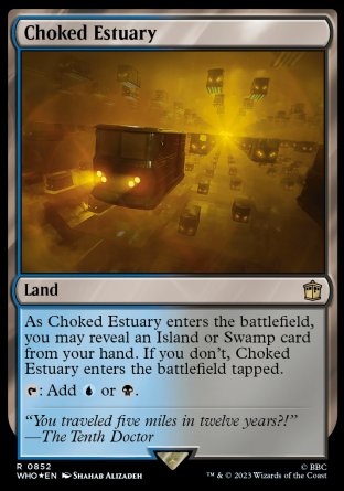 (852) Magic The Gathering Universes Beyond: Doctor Who: Extras Single: Choked Estuary (V.2) Rare