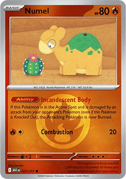 (027/217) Pokemon TCG Ascended Heroes: Additionals Single: Numel Common (Energy Symbol Reverse Holo)
