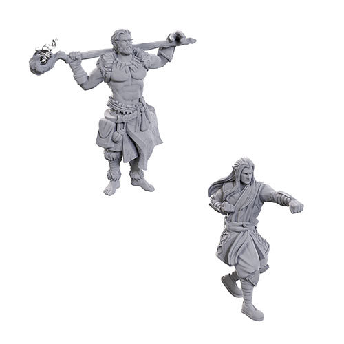 Wizkids - D&D Nolzurs Marvelous Miniatures: Archdruid & Martial Arts Adept - Wave 24
