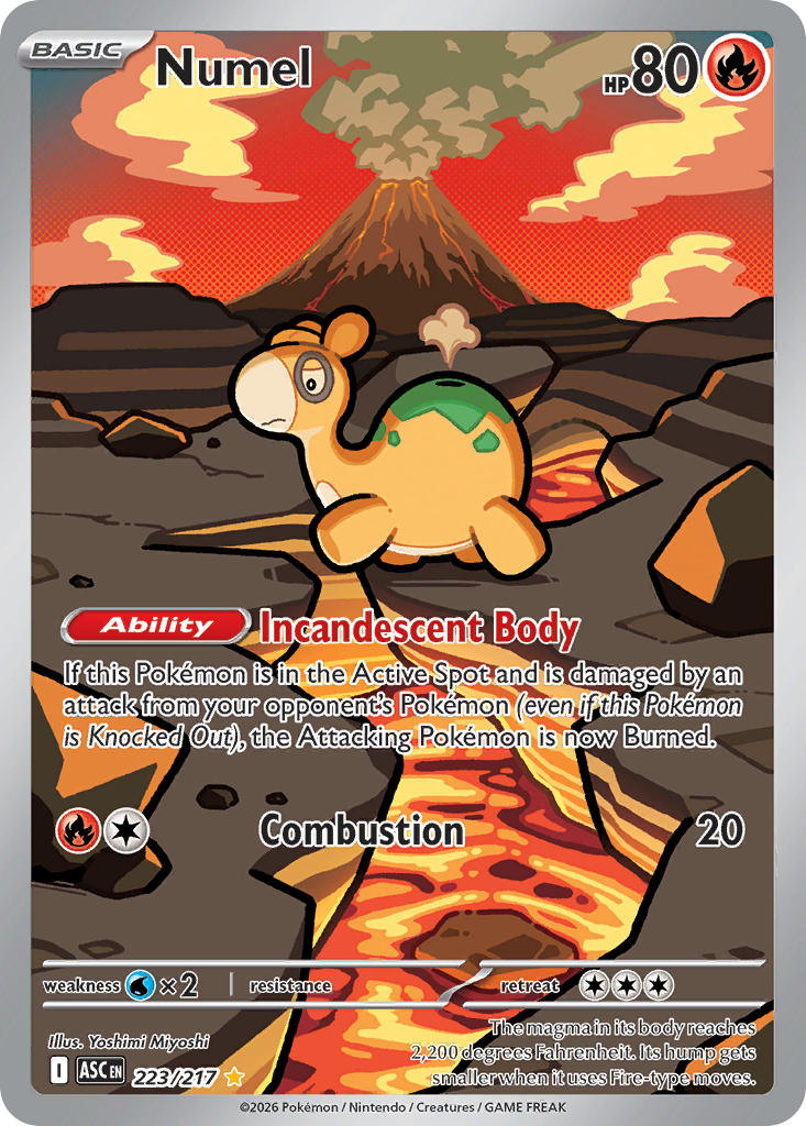 (223/217) Pokemon TCG Ascended Heroes Single: Numel Illustration Rare