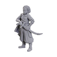 Wizkids - D&D Nolzurs Marvelous Miniatures - Ansalon Human Rogue - Wave 23