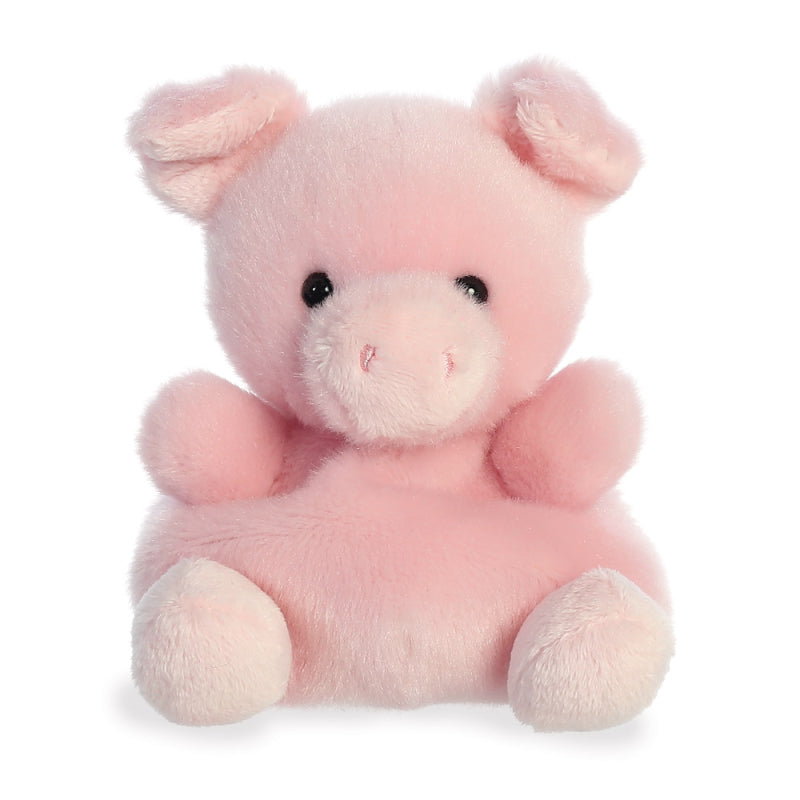 Palm Pals: Wizard Pig (5in)