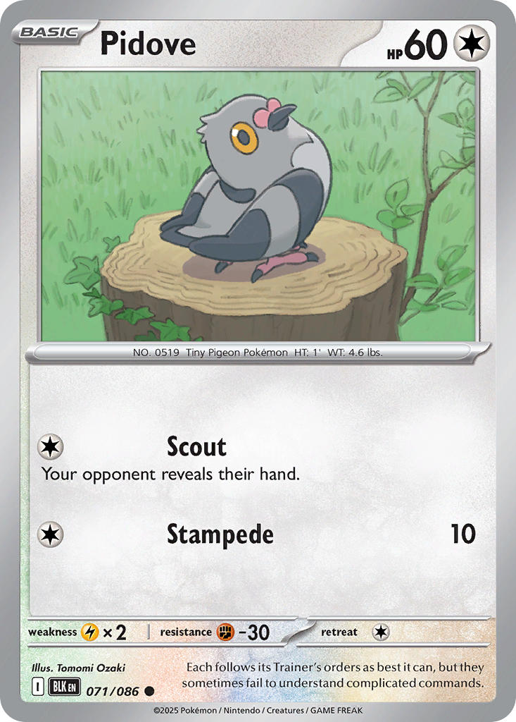 (071/086) Pokemon TCG Black Bolt Single: Pidove Common
