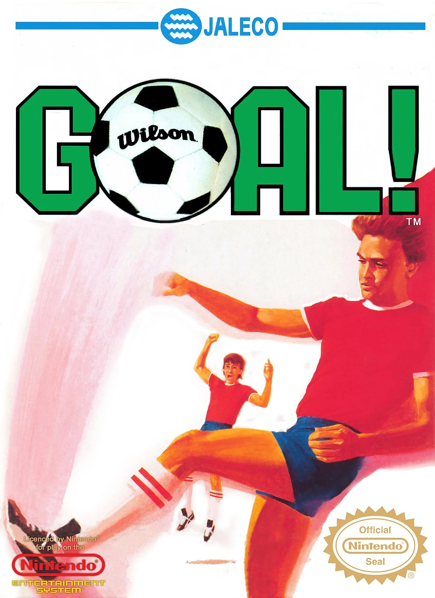 NES: Goal