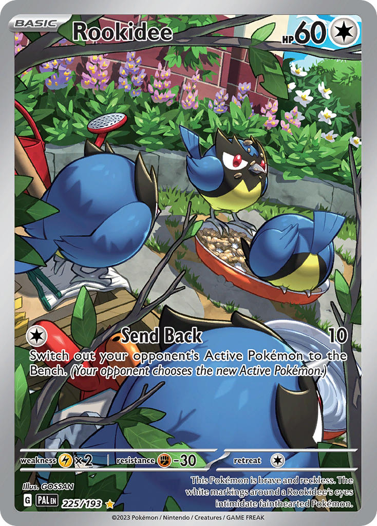 Pokemon TCG Paldea Evolved Single: Rookidee Holo (225/193)