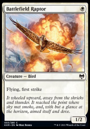 (003/285) Magic The Gathering Kaldheim Single: Battlefield Raptor  Common