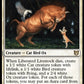 (005) Magic The Gathering Commander: Wilds of Eldraine Single: Liberated Livestock  Rare