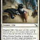 (016) Magic The Gathering Murders at Karlov Manor Single: Forum Familiar Holo Uncommon