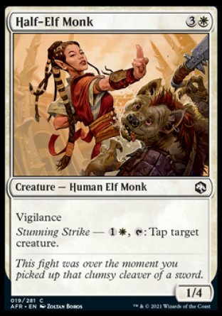 (019) Magic The Gathering Adventures in the Forgotten Realms Single: Half-Elf Monk Holo Common