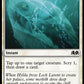 (022) Magic The Gathering Wilds of Eldraine Single: Plunge into Winter  Common