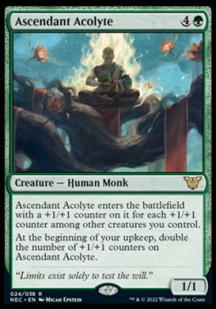 (024) Magic The Gathering Commander: Kamigawa: Neon Dynasty Single: Ascendant Acolyte (V.1)  Rare