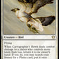 (024/322) Magic The Gathering Commander: Ikoria Single: Cartographer's Hawk  Rare