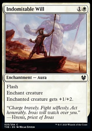 (025/254) Magic The Gathering Theros Beyond Death Single: Indomitable Will Holo Common