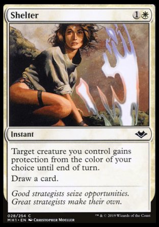 (028/254) Magic The Gathering Modern Horizons Single: Shelter  Common