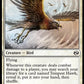(031) Magic The Gathering Tarkir: Dragonstorm Single: Tempest Hawk Holo Common