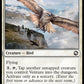 (037) Magic The Gathering Adventures in the Forgotten Realms Single: Ranger's Hawk  Common