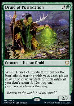 (039) Magic The Gathering Commander: Adventures in the Forgotten Realms Single: Druid of Purification Holo Rare