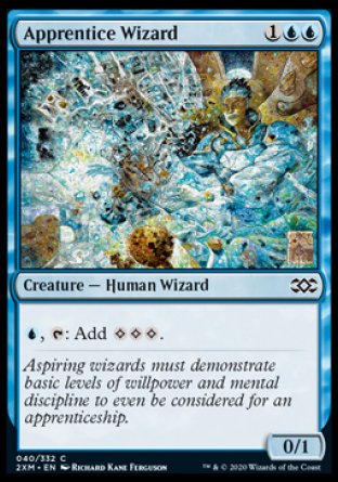(040/332) Magic The Gathering Double Masters Single: Apprentice Wizard Holo Common