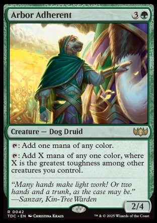 (042) Magic The Gathering Commander: Tarkir: Dragonstorm Single: Arbor Adherent  Rare