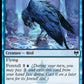(044/285) Magic The Gathering Kaldheim Single: Augury Raven  Common