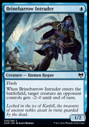 (049/285) Magic The Gathering Kaldheim Single: Brinebarrow Intruder Holo Common