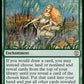(058) Magic The Gathering Commander: Zendikar Rising Single: Abundance  Rare