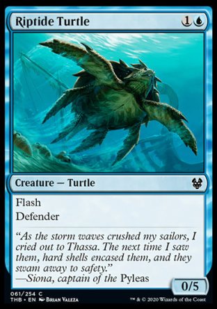 (061/254) Magic The Gathering Theros Beyond Death Single: Riptide Turtle Holo Common