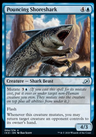 (064/274) Magic The Gathering Ikoria: Lair of Behemoths Single: Pouncing Shoreshark  Uncommon