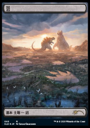 (065) Magic The Gathering Secret Lair Drop Series Single: Swamp (V.1)  Land