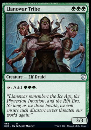 (066) Magic The Gathering Commander: Kaldheim Single: Llanowar Tribe  Uncommon