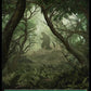 (067) Magic The Gathering Secret Lair Drop Series Single: Forest (V.1)  Land