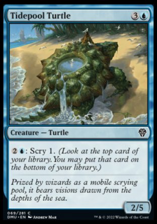 (069) Magic The Gathering Dominaria United Single: Tidepool Turtle Holo Common