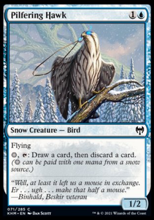 (071/285) Magic The Gathering Kaldheim Single: Pilfering Hawk  Common